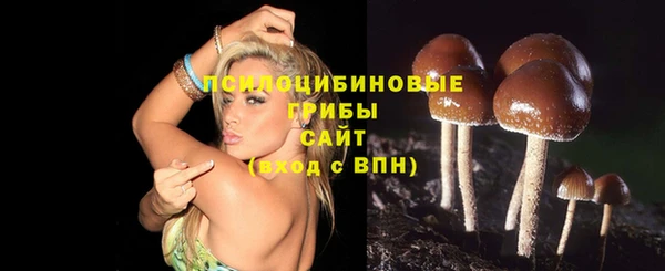 мяу мяу мука Алексеевка