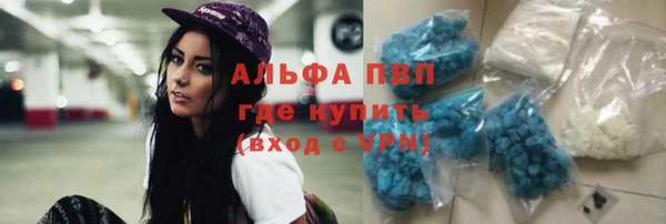 крисы Алзамай