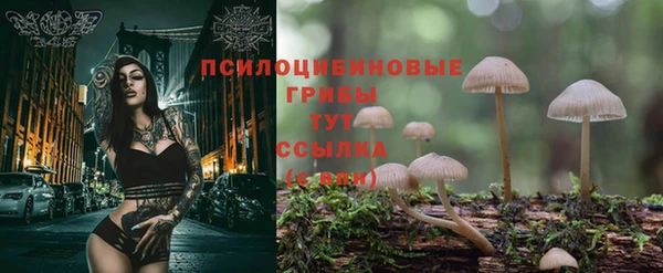 дурь Россошь