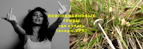мяу мяу мука Алексеевка
